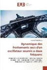 Paul NDY von Kluge - Dynamique des frottements secs d'un oscillateur soumis a deux fréquenc