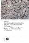 Hamza Soualhi - Rhéologie et Rhéométrie Des Bétons Conventionnels et Écologique