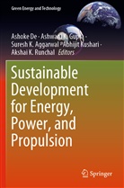 Suresh K. Aggarwal, Ashoke De, Ashwani K. Gupta, Suresh K Aggarwal et al, Ashwan K Gupta, Ashwani K Gupta... - Sustainable Development for Energy, Power, and Propulsion