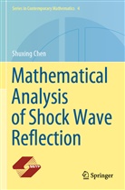Shuxing Chen - Mathematical Analysis of Shock Wave Reflection