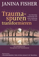Janina Fisher - Traumaspuren transformieren