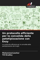 Till Bradley, Mohammed Jawhar - Un protocollo efficiente per la convalida della patotipizzazione con Enzy