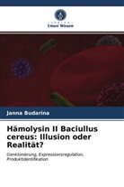 Janna Budarina - Hämolysin II Baciullus cereus: Illusion oder Realität?