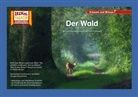 Verena Sangu - Der Wald / Kamishibai Bildkarten