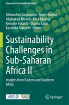 Abubakari Ahmed, Abubakari Ahmed et al, Kensuke Fukushi, Alexandros Gasparatos, Alice Karanja, Merl Naidoo... - Sustainability Challenges in Sub-Saharan Africa II