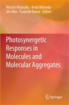 Jiro Abe, Jiro Abe et al, Tsuyoshi Kawai, Kenj Matsuda, Kenji Matsuda, Hiroshi Miyasaka - Photosynergetic Responses in Molecules and Molecular Aggregates