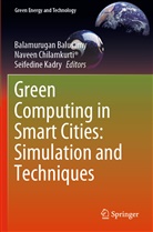 Balamurugan Balusamy, Navee Chilamkurti, Naveen Chilamkurti, Seifedine Kadry - Green Computing in Smart Cities: Simulation and Techniques
