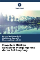 Giv Gavardashvili, Givi Gavardashvili, Edvar Kukhalashvili, Edvard Kukhalashvili, Kupreish, Shorena Kupreishvili - Erwartete Risiken kohäsiver Murgänge und deren Bekämpfung