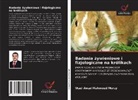 Wael Awad Mahmoud Morsy - Badania zywieniowe i fizjologiczne na królikach