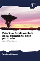 Terubumi Honjou - Principio fondamentale della pulsazione delle particelle