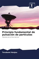 Terubumi Honjou - Principio fundamental de pulsación de partículas