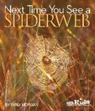 Emily Morgan - Next Time You See a Spiderweb