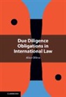 Alice Ollino, Alice (Universita Degli Studi DI Milano-Bi Ollino - Due Diligence Obligations in International Law