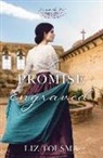 Liz Tolsma - A Promise Engraved