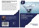 Besmir Buranaj Hoxha, Osman Dzudzevic, Kyle Sweeney - Potentiel hydroélectrique dans les Balkans occidentaux