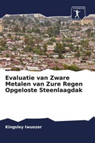 Kingsley Iwuozor - Evaluatie van Zware Metalen van Zure Regen Opgeloste Steenlaagdak