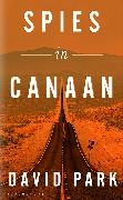 David Park - Spies in Canaan - One of most powerful probing novels so far this year Financial
