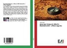 Ramiz Daniz - Amerigo Vespucci, Martin Waldsemuller - affare segreto