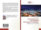 Mohamed Chetioui - Recristallisation du phosphogypse hémihydrate en dihydrate
