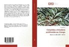 Thomas Silou - Corymbia citriodora acclimatée au Congo