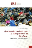 John BARAFUNDI DALE, Michel NGBONGA KOZOINA - Gestion des déchets dans la ville province de Kinshasa: