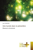 Jean FONKOENG - Une luciole dans la pénombre