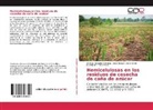 Luz Marina Flórez Pardo, Andrea González Córdoba, Jorge Enrique López Galán - Hemicelulosas en los residuos de cosecha de caña de azúcar