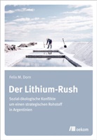 Felix Dorn, Felix M Dorn - Der Lithium-Rush