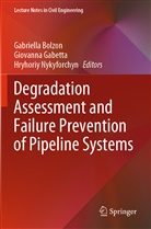 Gabriella Bolzon, Giovann Gabetta, Giovanna Gabetta, Hryhoriy Nykyforchyn - Degradation Assessment and Failure Prevention of Pipeline Systems