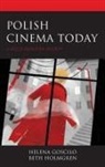 Helena Goscilo, Helena Holmgren Goscilo, Beth Holmgren - Polish Cinema Today