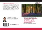 Jim Quispe Arroyo, Erick Daniel Vildoso Cabrera - El derecho al medio ambiente y los Conflictos Socio-ambientales