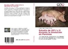 Ramiro Andrés Martínez Astorga - Estudio de IGF-I y II durante la Gestación en Porcinos