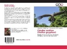 Dayna Noelia Canaza Yujra, Daniela Rosario Ticona Cachaca - Cóndor andino(Vultur gryphus)