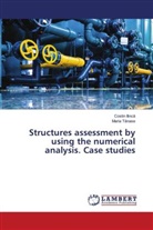 Costin Ilinc¿, Costin Ilinca, Maria T¿Nase, MARIA TANASE - Structures assessment by using the numerical analysis. Case studies