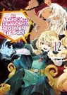 COMTA, Hikoki Hikoki, Fuminori Teshima, Teshima Fuminori, COMTA - An Archdemon's Dilemma: How to Love Your Elf Bride: Volume 12 (Light Novel)