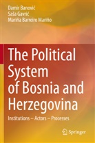 Damir Banovi¿, Dami Banovic, Damir Banovic, Mariñ Barreiro Mariño, Mariña Barreiro Mariño, Sa¿a Gavri¿... - The Political System of Bosnia and Herzegovina