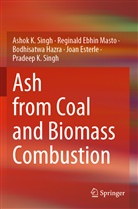 Joan Esterle, Bodhis Hazra, BODHISATWA HAZRA, Reginald Ebhi Masto, Reginald Ebhin Masto, Ashok Singh... - Ash from Coal and Biomass Combustion