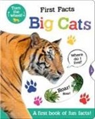 Georgie Taylor, Bethany Carr - First Facts Big Cats