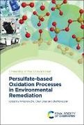 Mingshan (Jinan University Zhu, Prof. Mingshan (Jinan University Zhu, Prof. Zhenfeng (Shanghai Normal University Bian, Zhenfeng Bian, Zhenfeng (Shanghai Normal University Bian, Chun Zhao... - Persulfate-Based Oxidation Processes in Environmental Remediation