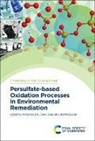 Mingshan (Jinan University Zhu, Prof. Mingshan (Jinan University Zhu, Prof. Zhenfeng (Shanghai Normal University Bian, Zhenfeng Bian, Zhenfeng (Shanghai Normal University Bian, Chun Zhao... - Persulfate-Based Oxidation Processes in Environmental Remediation