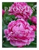 Claire Austin - Peonies