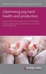 Dominiek Maes, Prof Dominiek Maes, Joaquim Segales, Prof Joaquim Segales, Joaquim Segalés - Optimising Pig Herd Health and Production