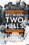 DIARMAID FERRITER, Diarmaid Ferriter, Ferriter Diarmaid - Between Two Hells