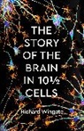 RICHARD WINGATE, Richard Wingate - The Story of the Brain in 10189; Cells