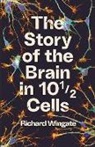 RICHARD WINGATE, Richard Wingate - The Story of the Brain in 10189; Cells