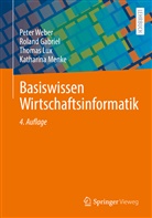 Rolan Gabriel, Roland Gabriel, Thomas Lux, Thomas u a Lux, Katharina Menke, Weber... - Basiswissen Wirtschaftsinformatik