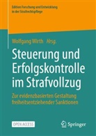 Wolfgan Wirth, Wolfgang Wirth - Steuerung und Erfolgskontrolle im Strafvollzug