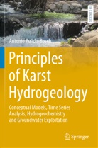 Antonio Pulido-Bosch - Principles of Karst Hydrogeology
