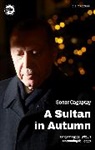 Soner Cagaptay, Cagaptay Soner - A Sultan in Autumn