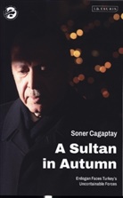 Soner Cagaptay - A Sultan in Autumn